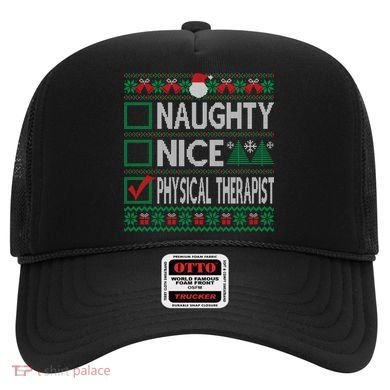 Naughty Nice Physical Therapist Christmas List Ugly Sweater Funny Gift Hat