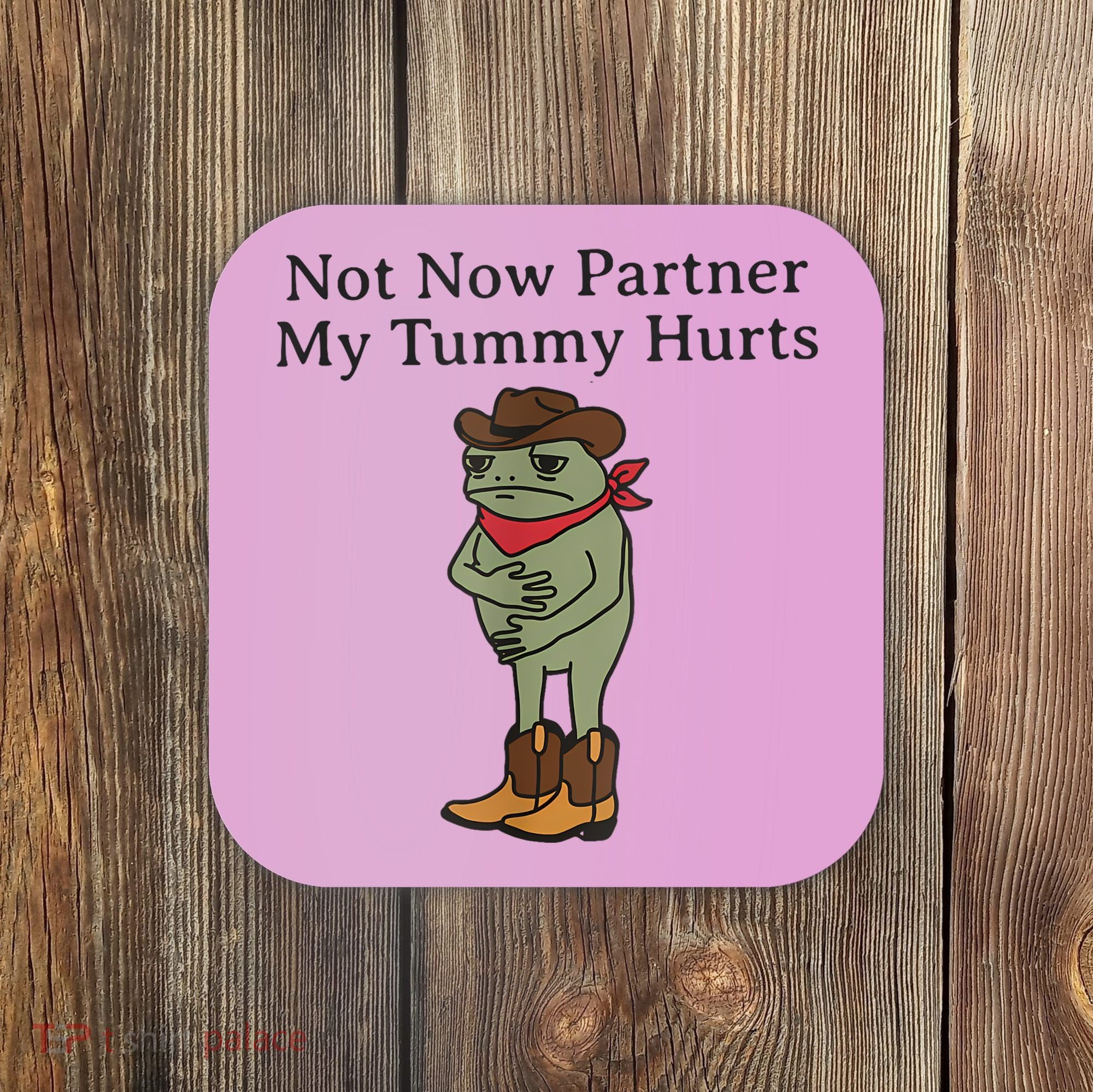Not Now Partner My Tummy Hurts Funny Frog Coaster