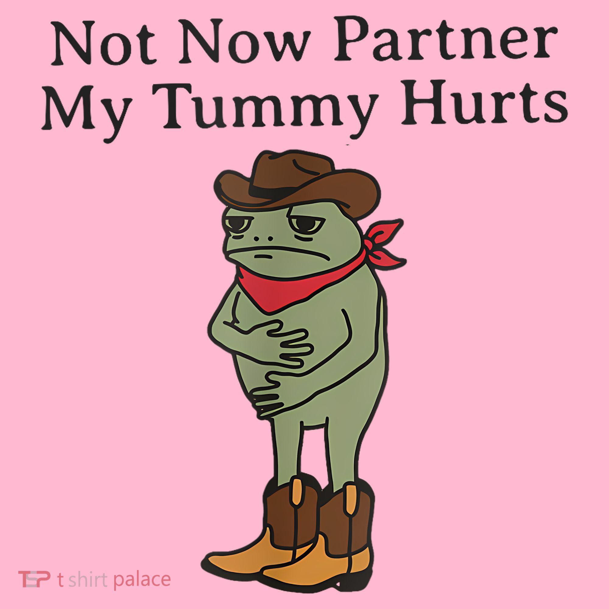 Not Now Partner My Tummy Hurts Funny Frog Coaster