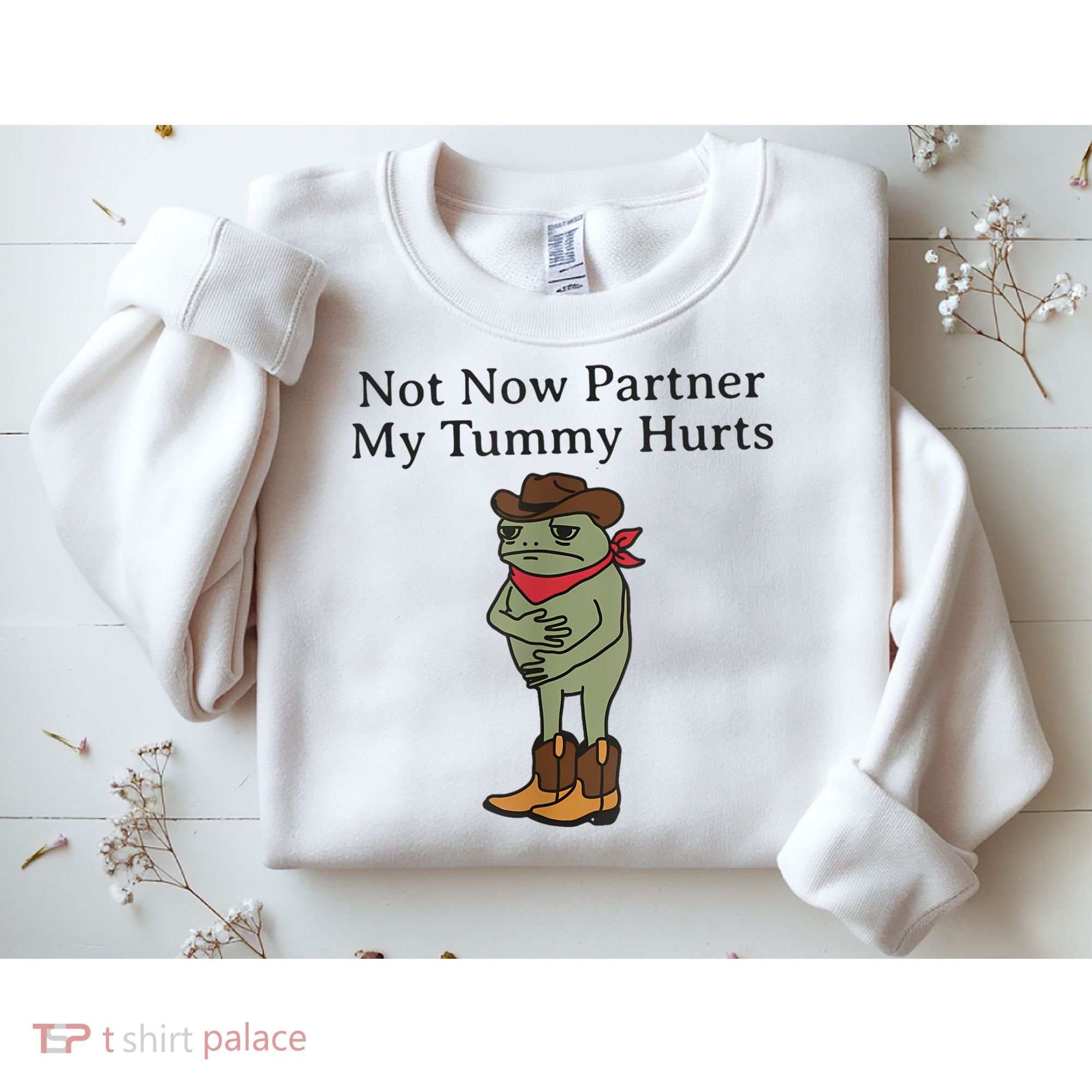 Not Now Partner My Tummy Hurts Funny Frog Sweatshirt