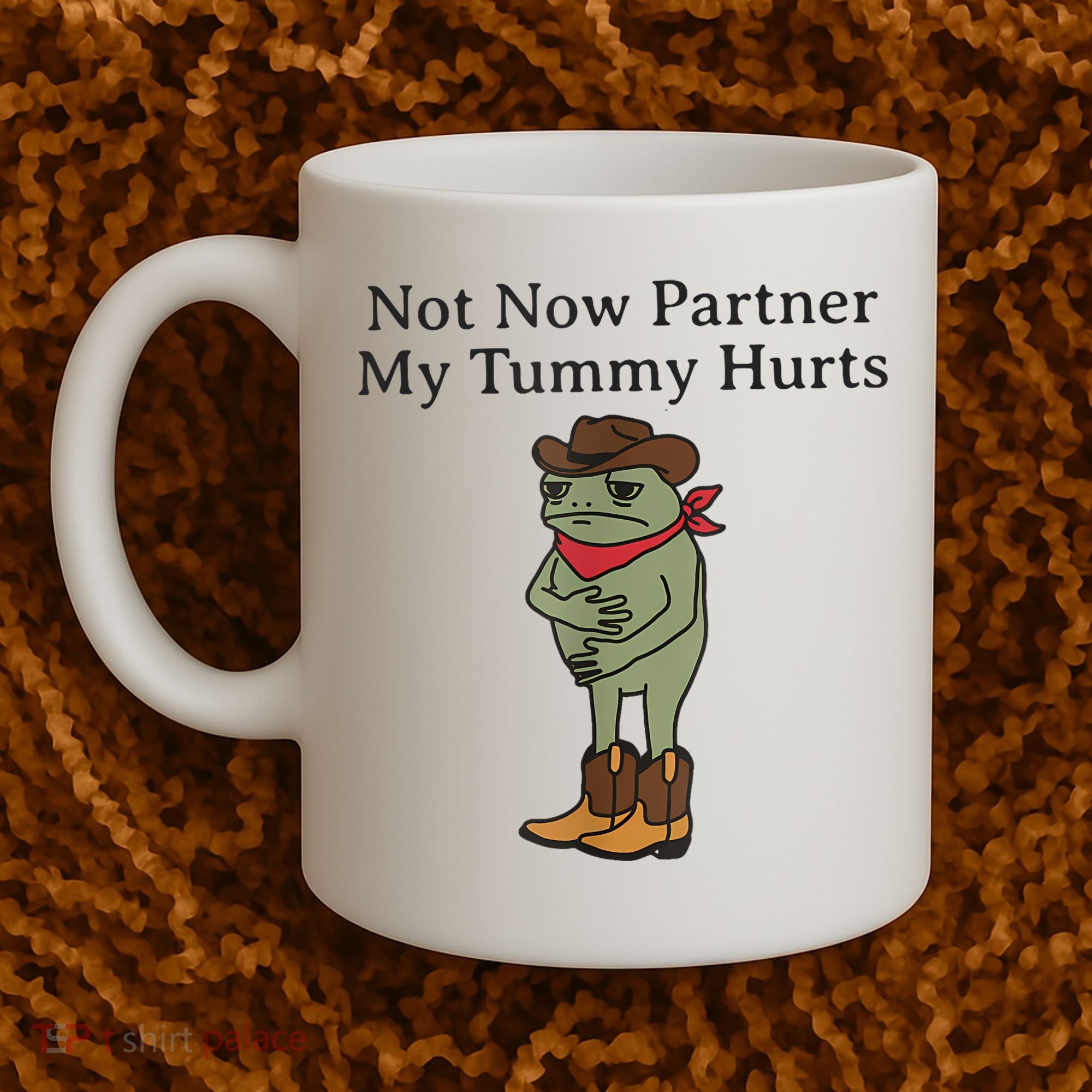 Not Now Partner My Tummy Hurts Funny Frog Coffee Mug