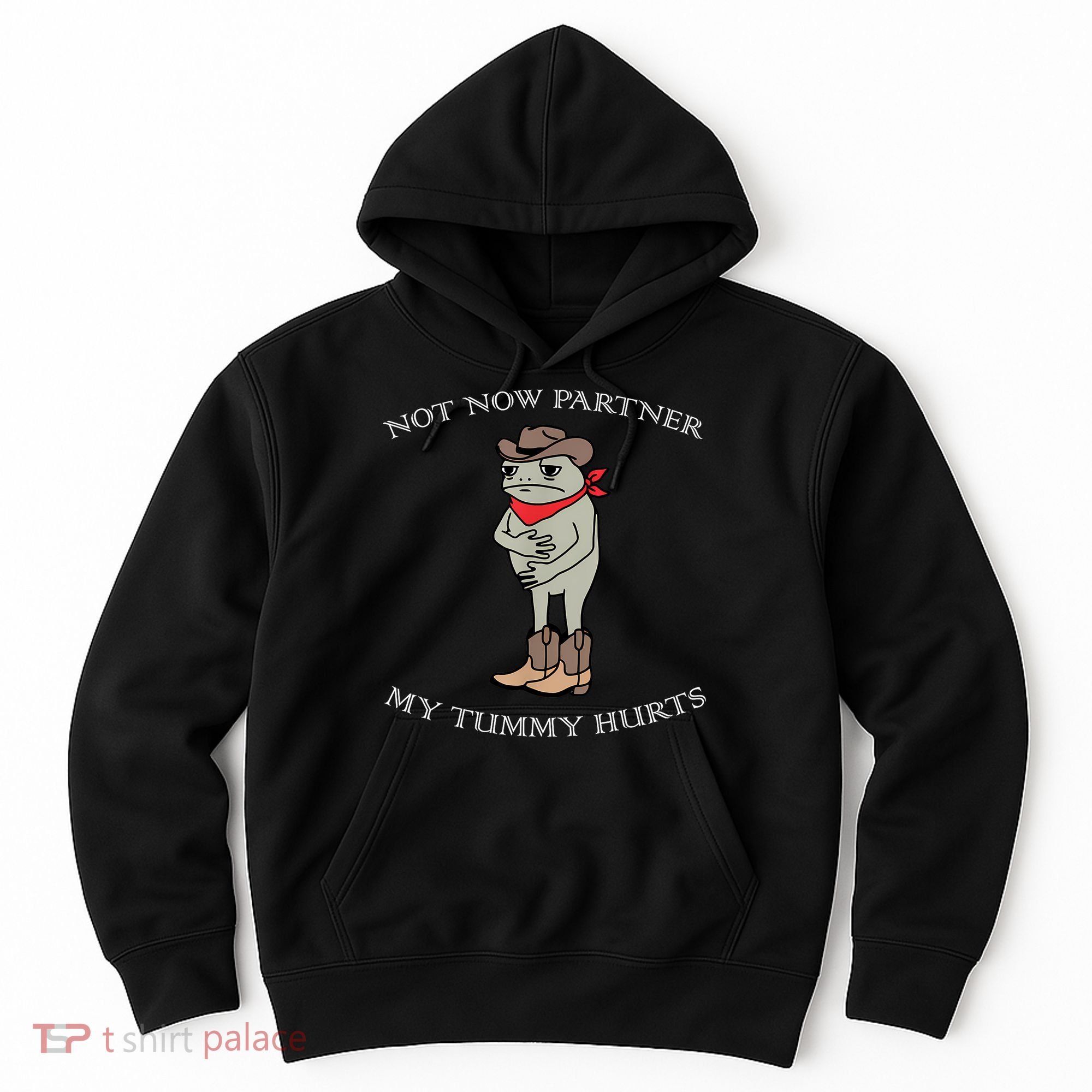 Not Now Partner My Tummy Hurts Hoodie
