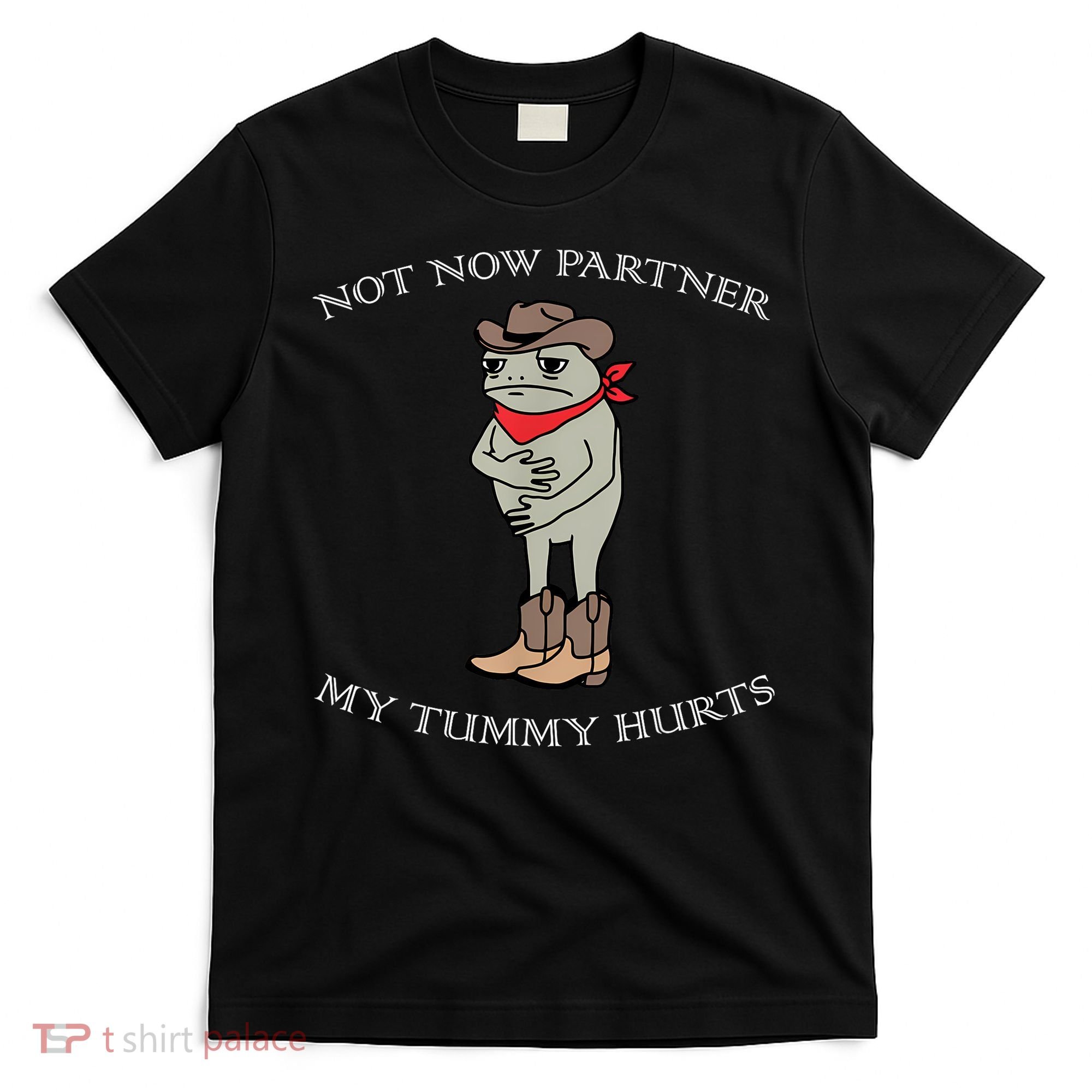 Not Now Partner My Tummy Hurts T-Shirt