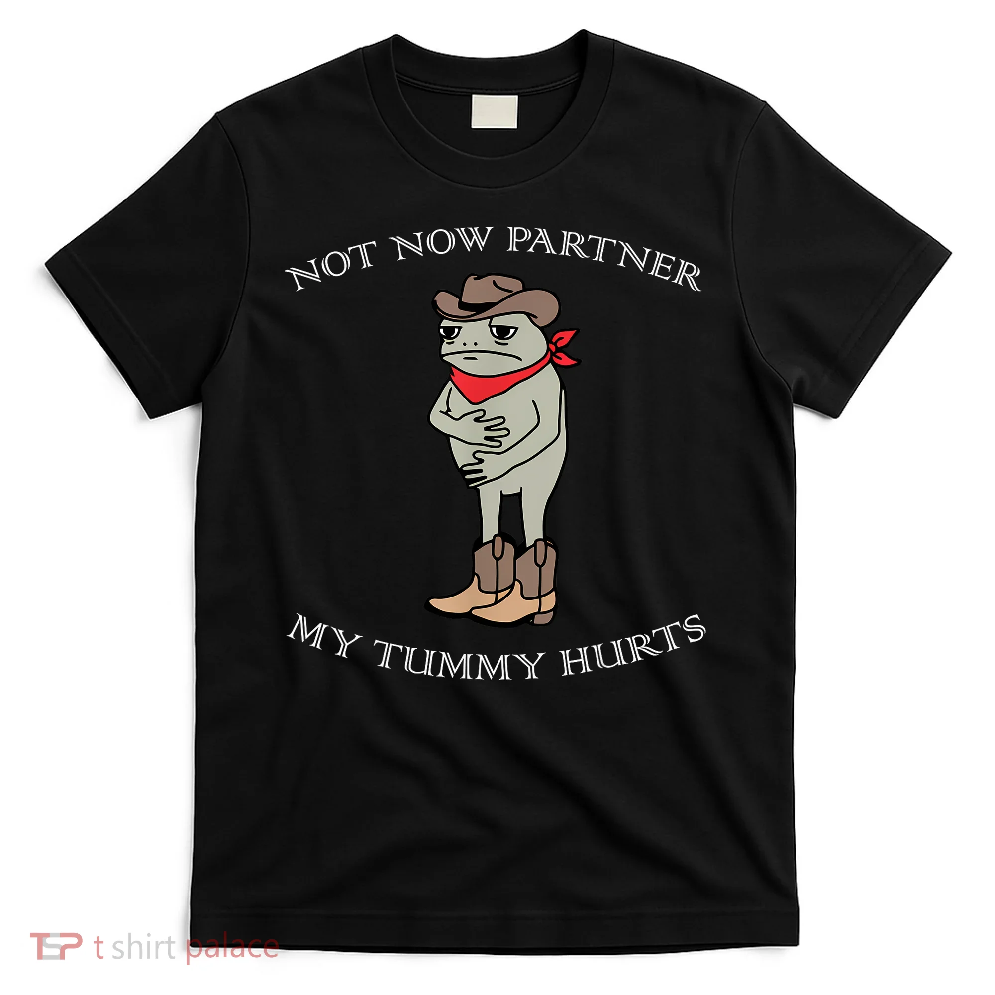 Not Now Partner My Tummy Hurts T-Shirt