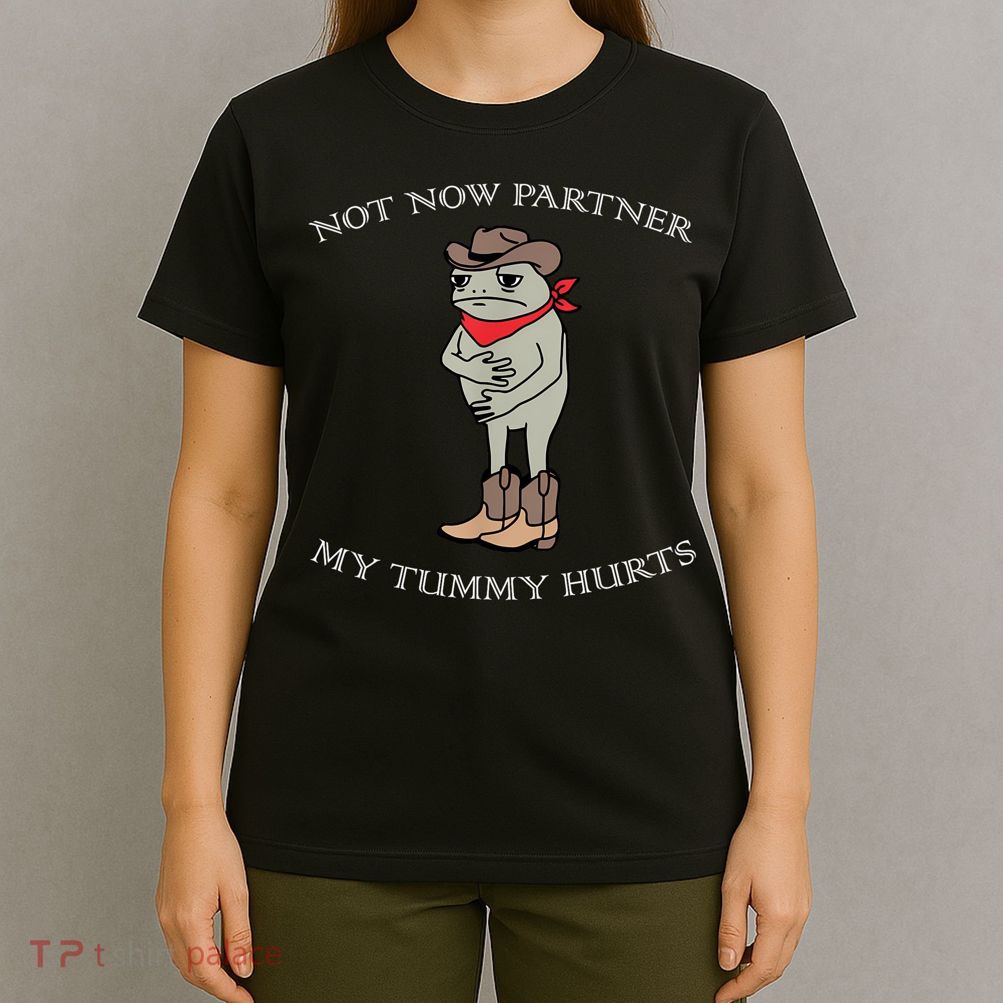 Not Now Partner My Tummy Hurts T-Shirt