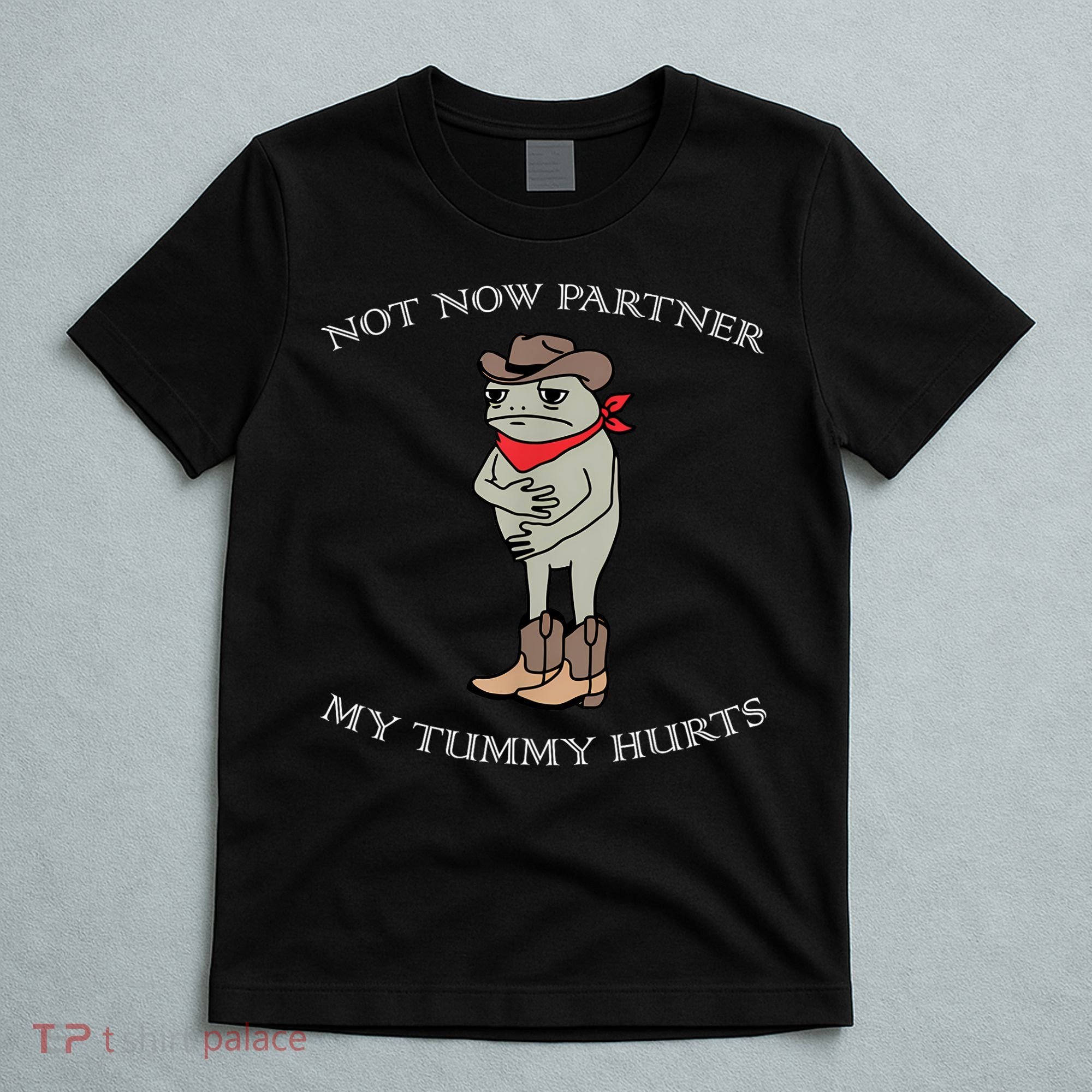 Not Now Partner My Tummy Hurts T-Shirt