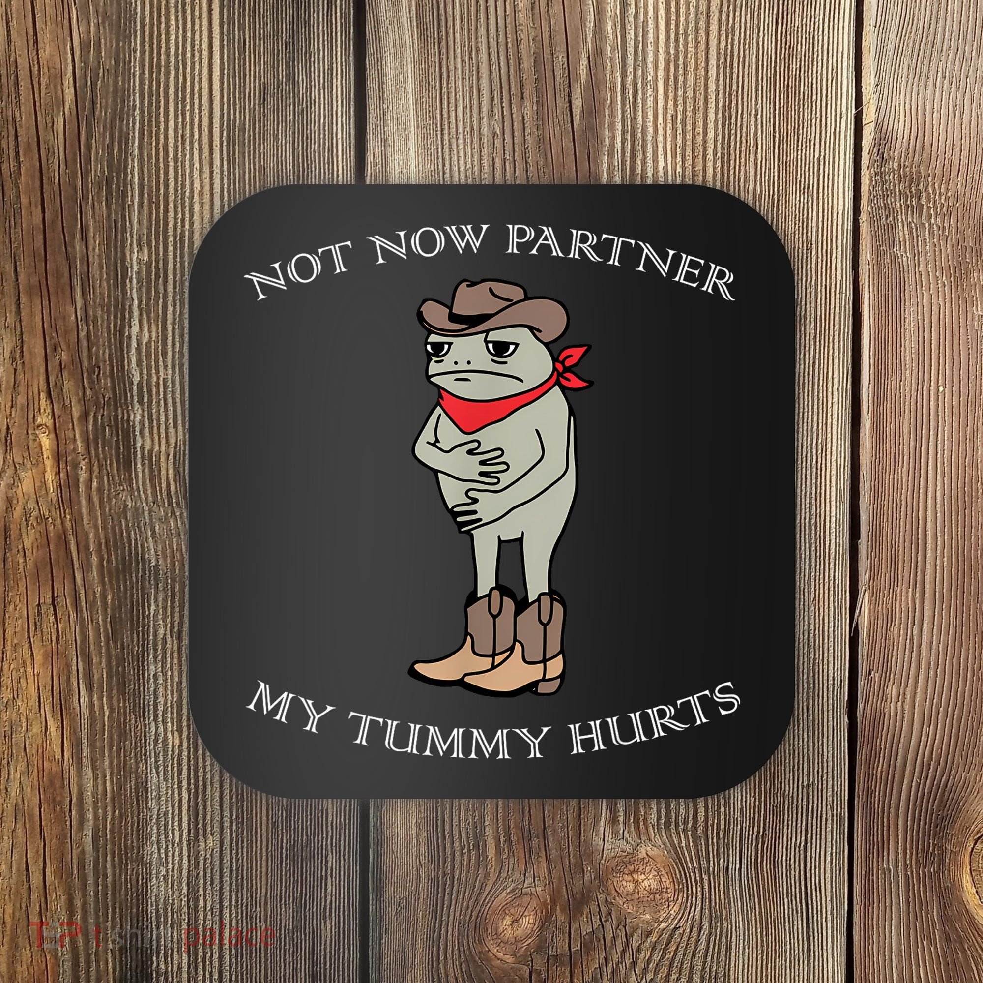 Not Now Partner My Tummy Hurts Coaster