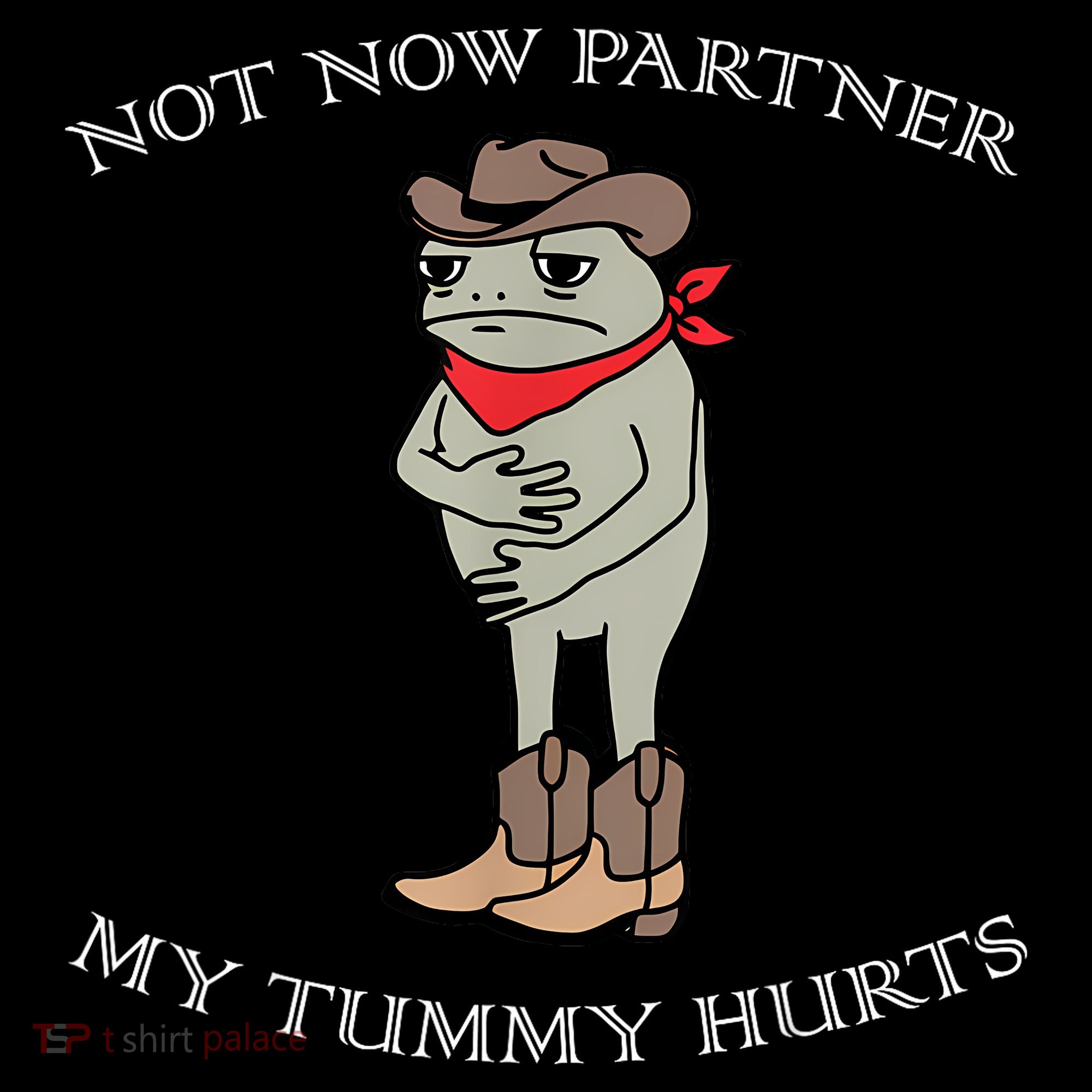 Not Now Partner My Tummy Hurts Women's Hoodie