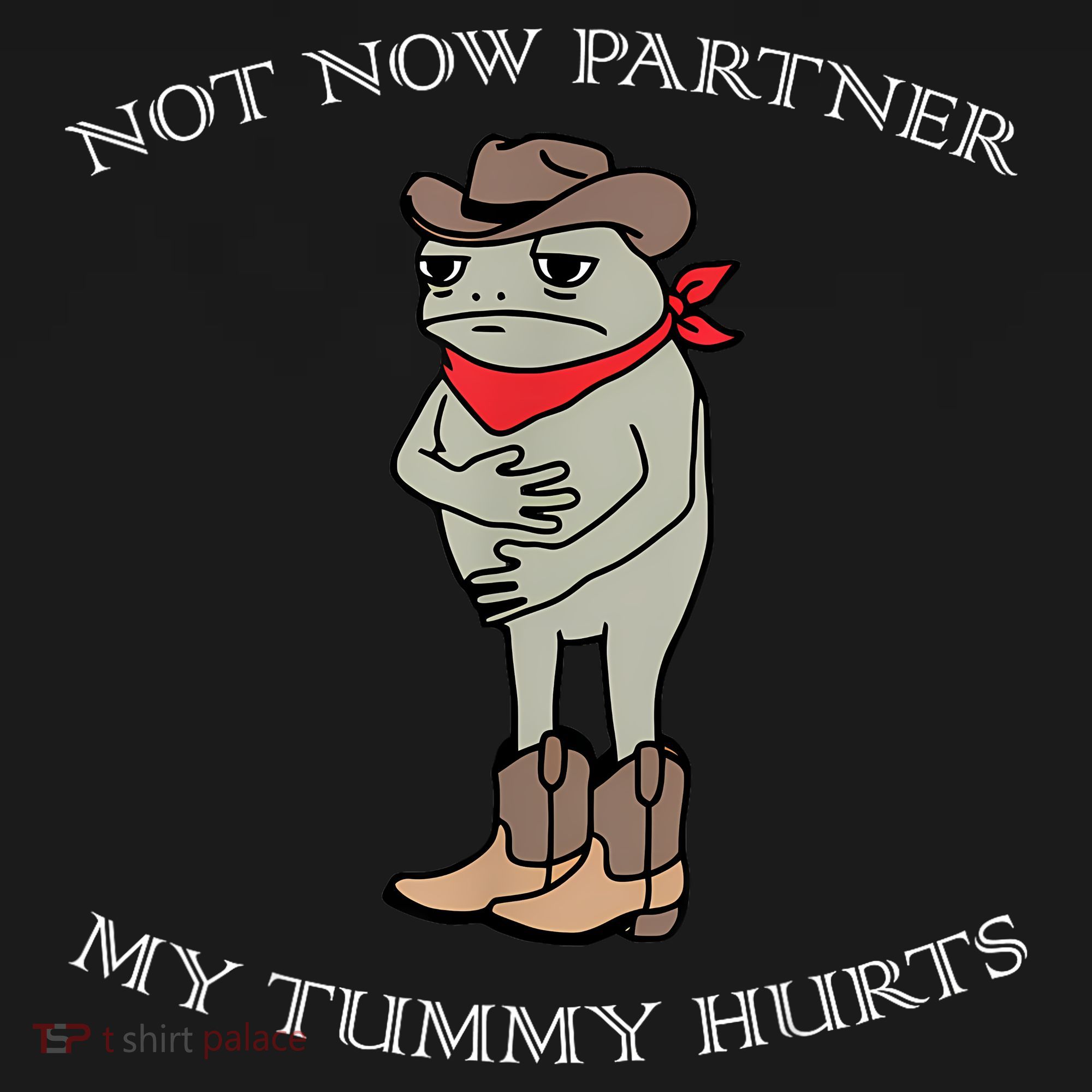 Not Now Partner My Tummy Hurts Baby Bodysuit