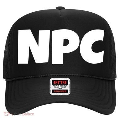 NPC Non Player Character, Funny NPC Gaming, Funny NPC Hat