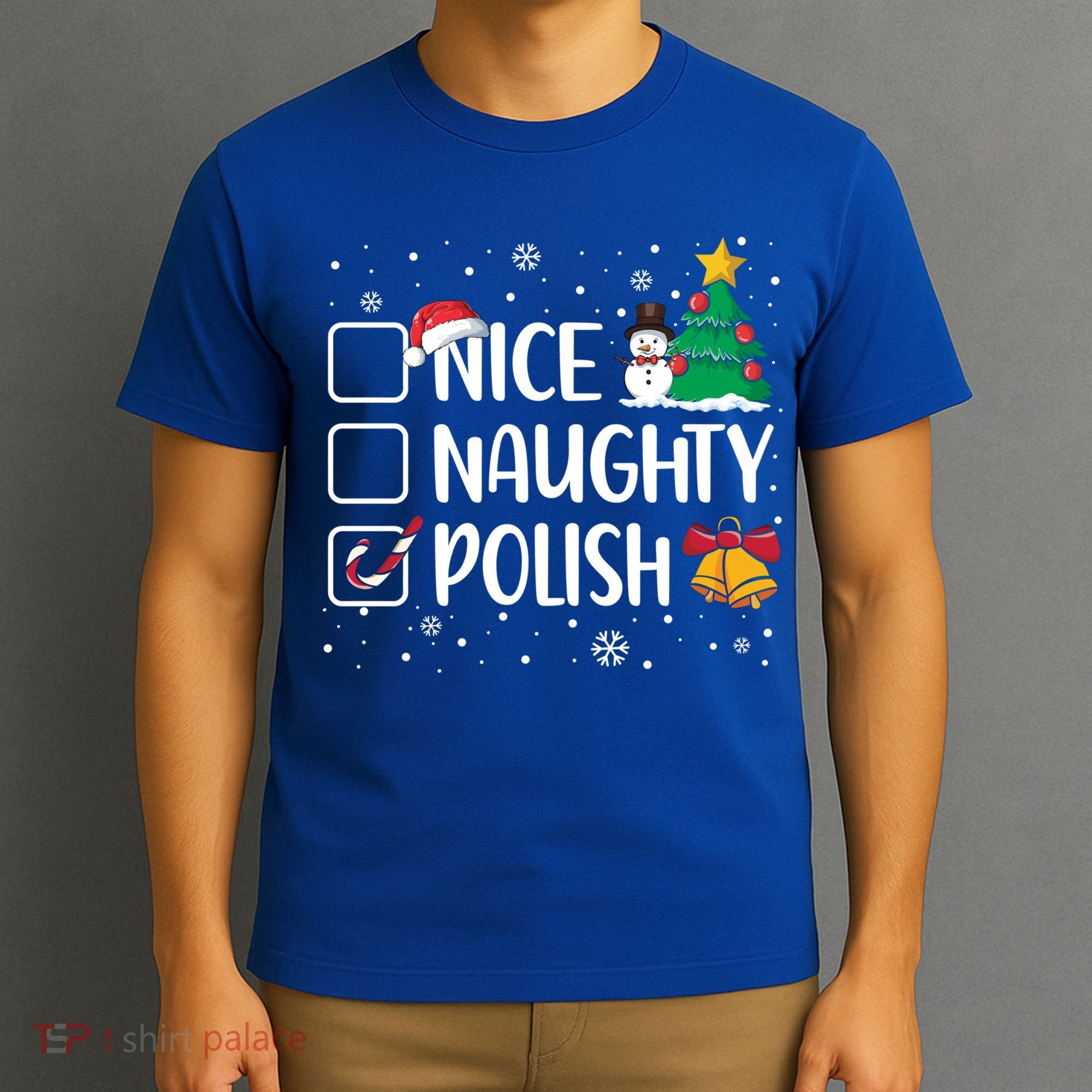 Naughty Nice Polish Gift Santa Hat Poland Christmas Gift T-Shirt