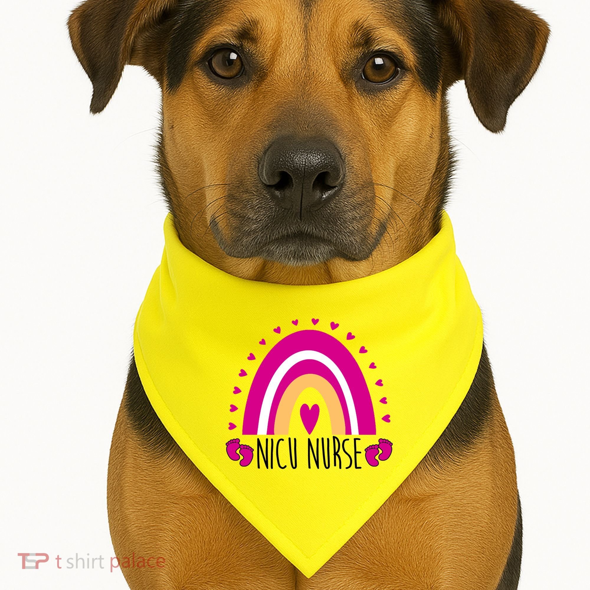Nicu Nurse Rainbow USA-Made Doggie Bandana