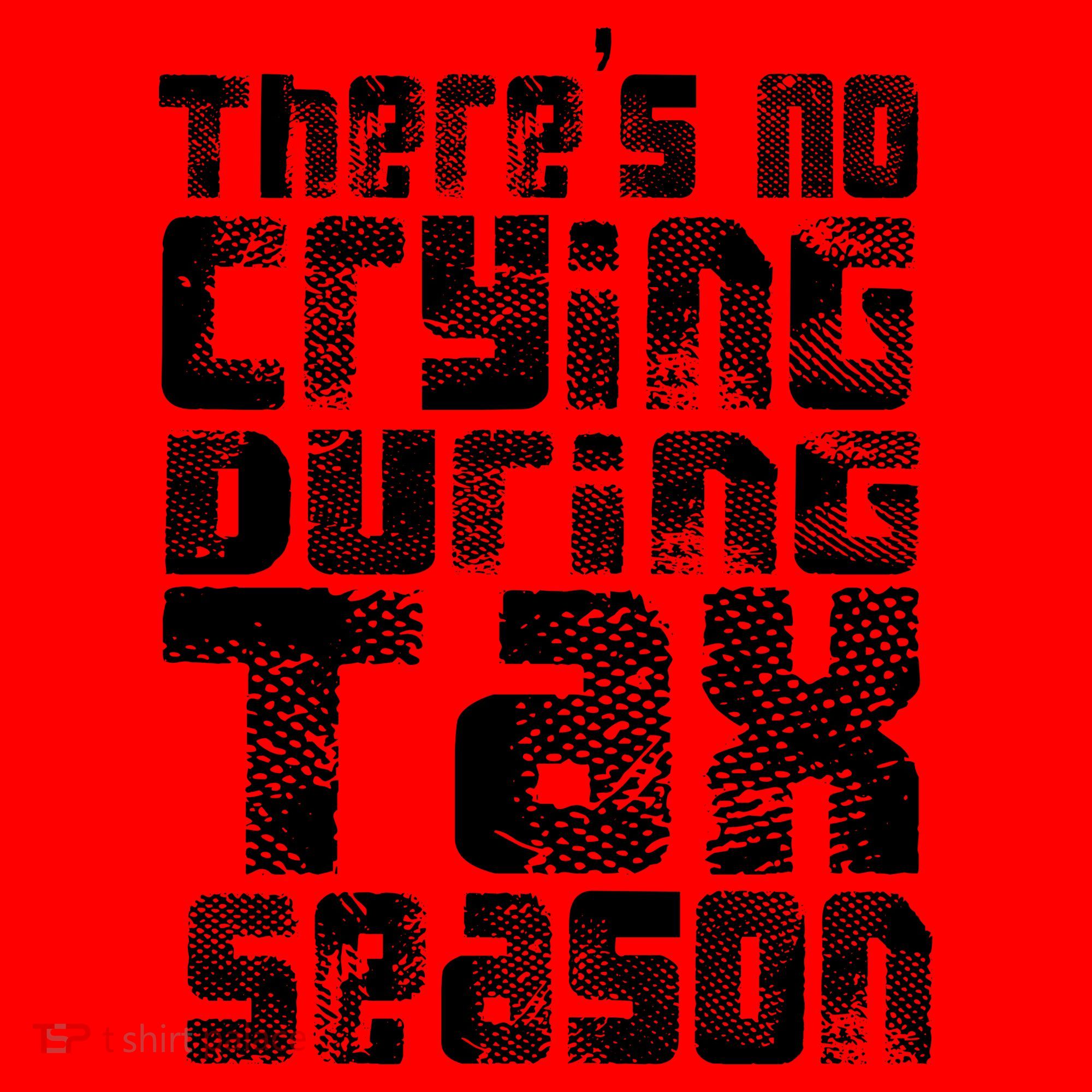 No Crying During Tax Season Santa Hat