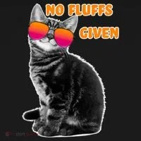 No Fluffs Given Kitten Sunglasses Women's T-Shirt thumb 6