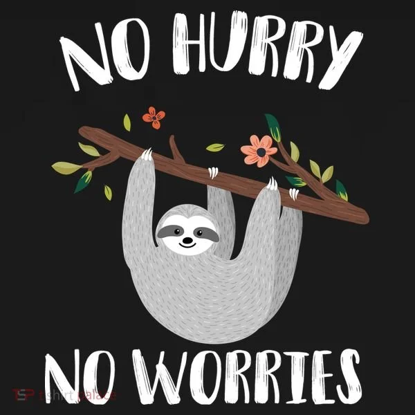 No Hurry No Worries Lazy Sloth Toddler T-Shirt