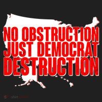 No Obstruction Just Democrat Destruction Tumbler thumb 3