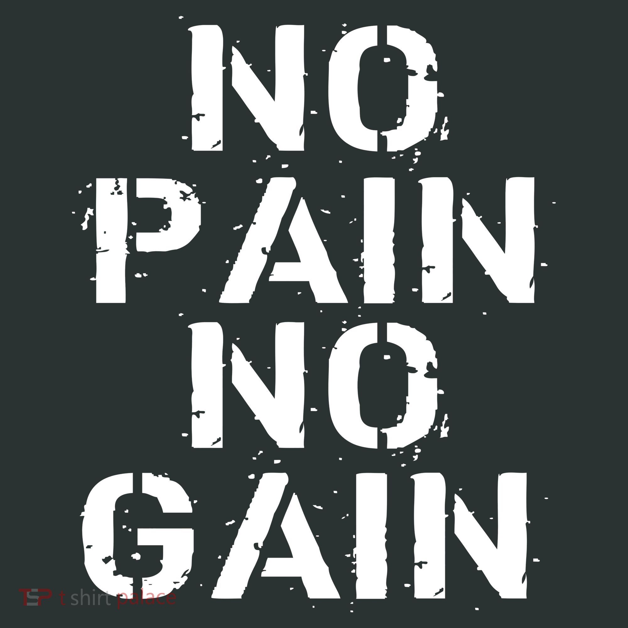 No Pain No Gain Workout Fitness Gym Logo T-Shirt