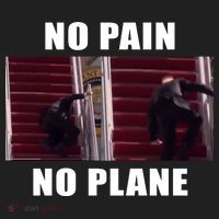 No Pain No Plane Funny Biden Stumbling Meme Tumbler thumb 3