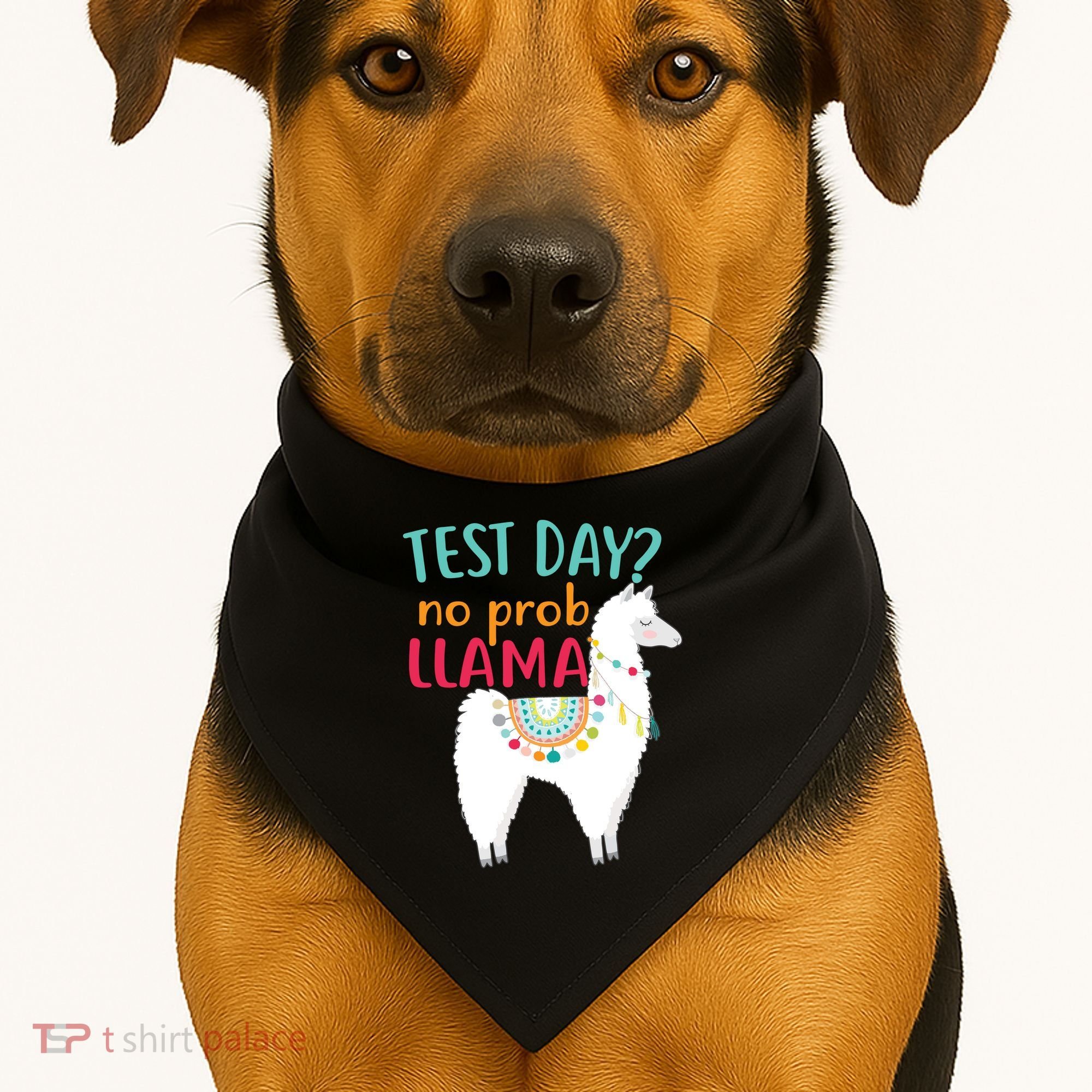No Probllama Rock The Test Funny USA-Made Doggie Bandana