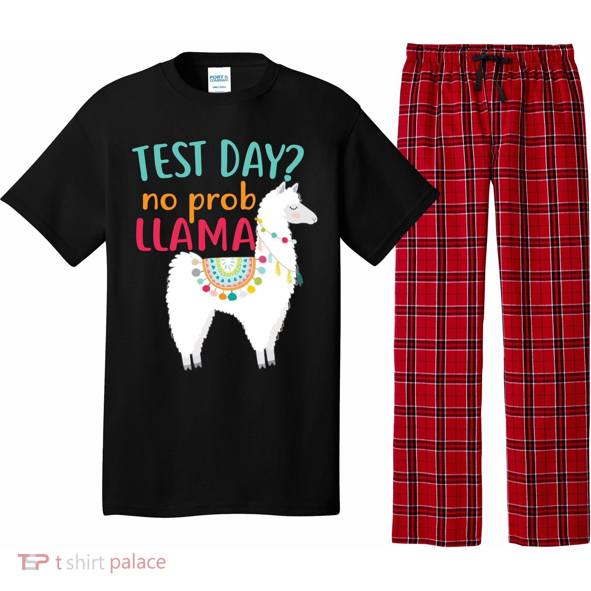 No Probllama Rock The Test Funny Pajama Set