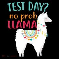 No Probllama Rock The Test Funny Mousepad thumb 1