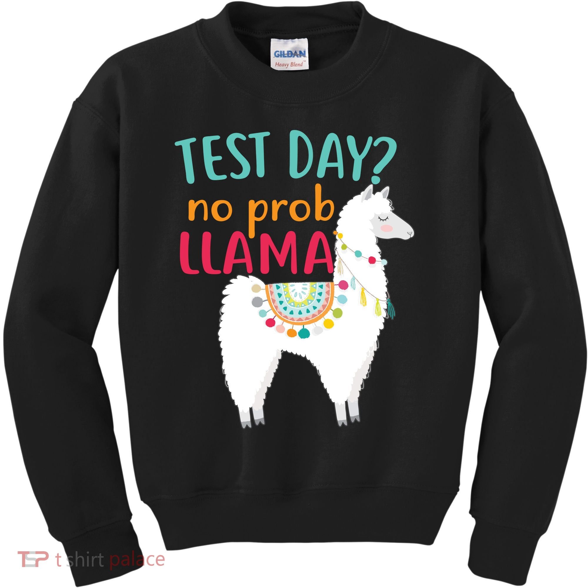No Probllama Rock The Test Funny Kids Sweatshirt