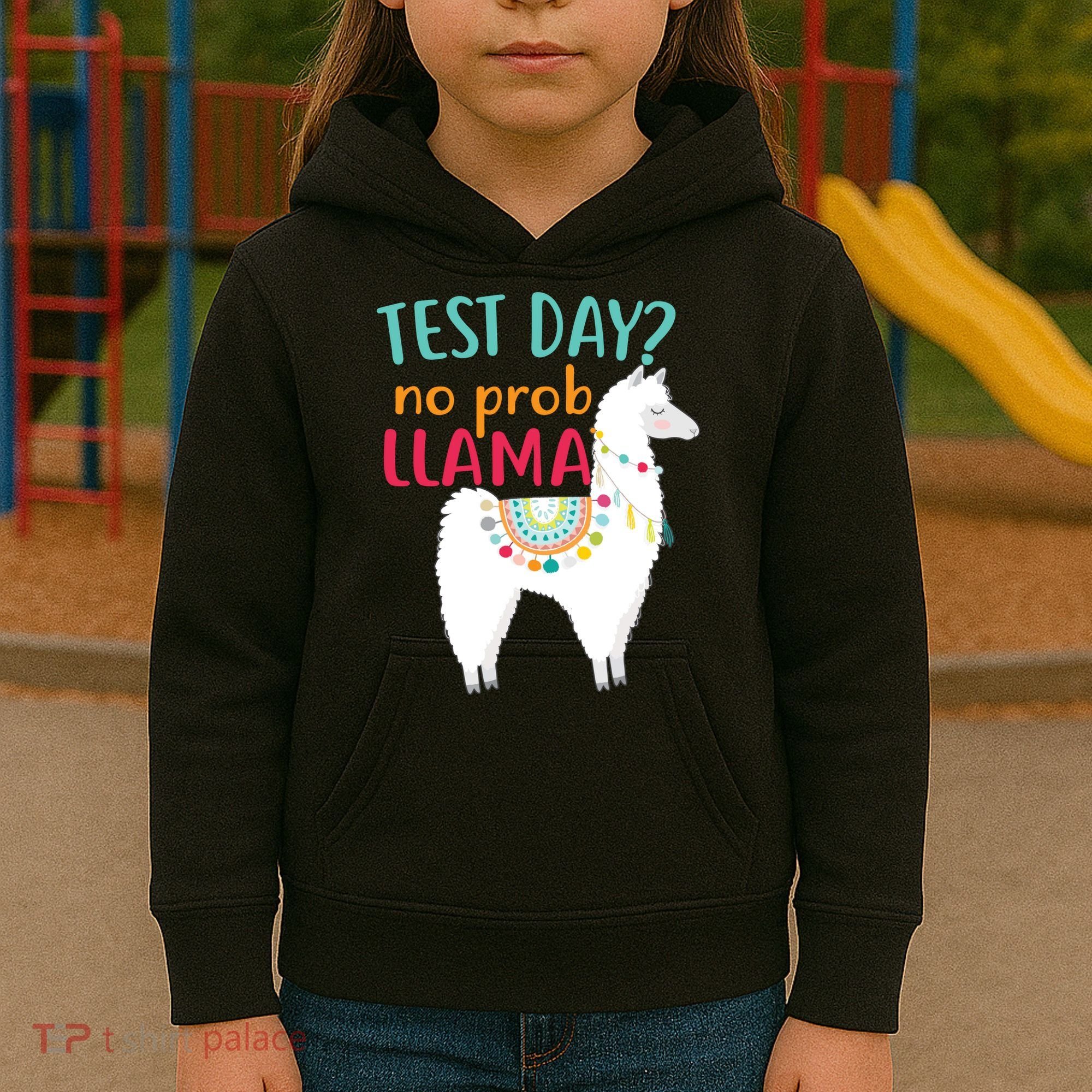 No Probllama Rock The Test Funny Kids Hoodie