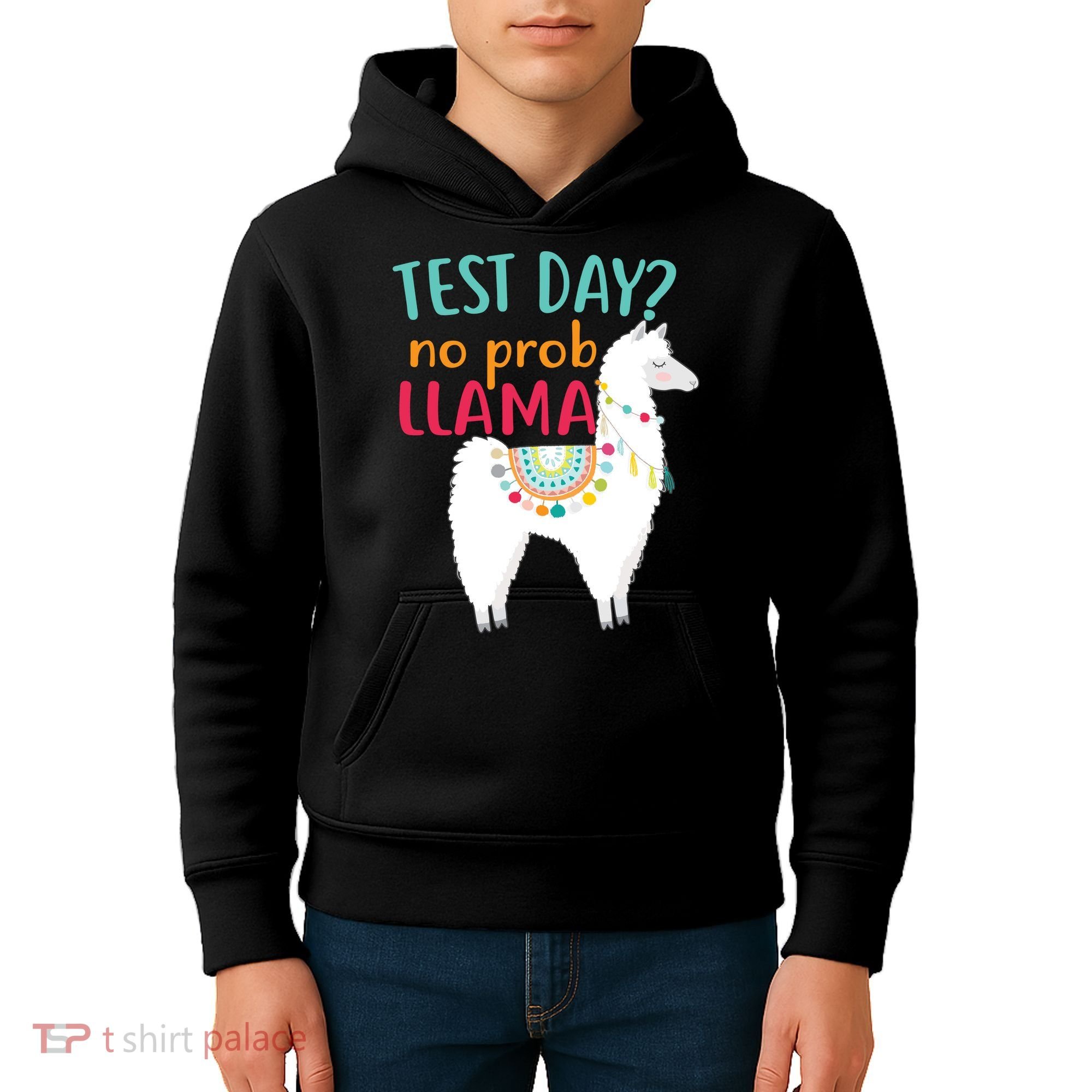 No Probllama Rock The Test Funny Kids Hoodie