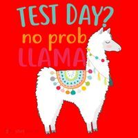 No Probllama Rock The Test Funny Santa Hat thumb 1