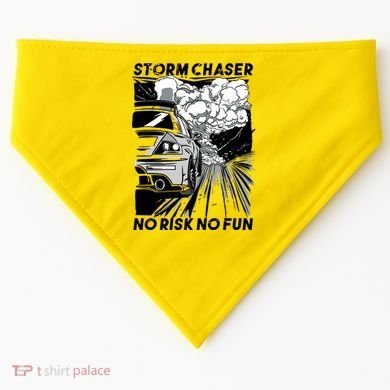 No Risk No Fun Car Racing USA-Made Doggie Bandana