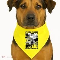No Risk No Fun Car Racing USA-Made Doggie Bandana thumb 1