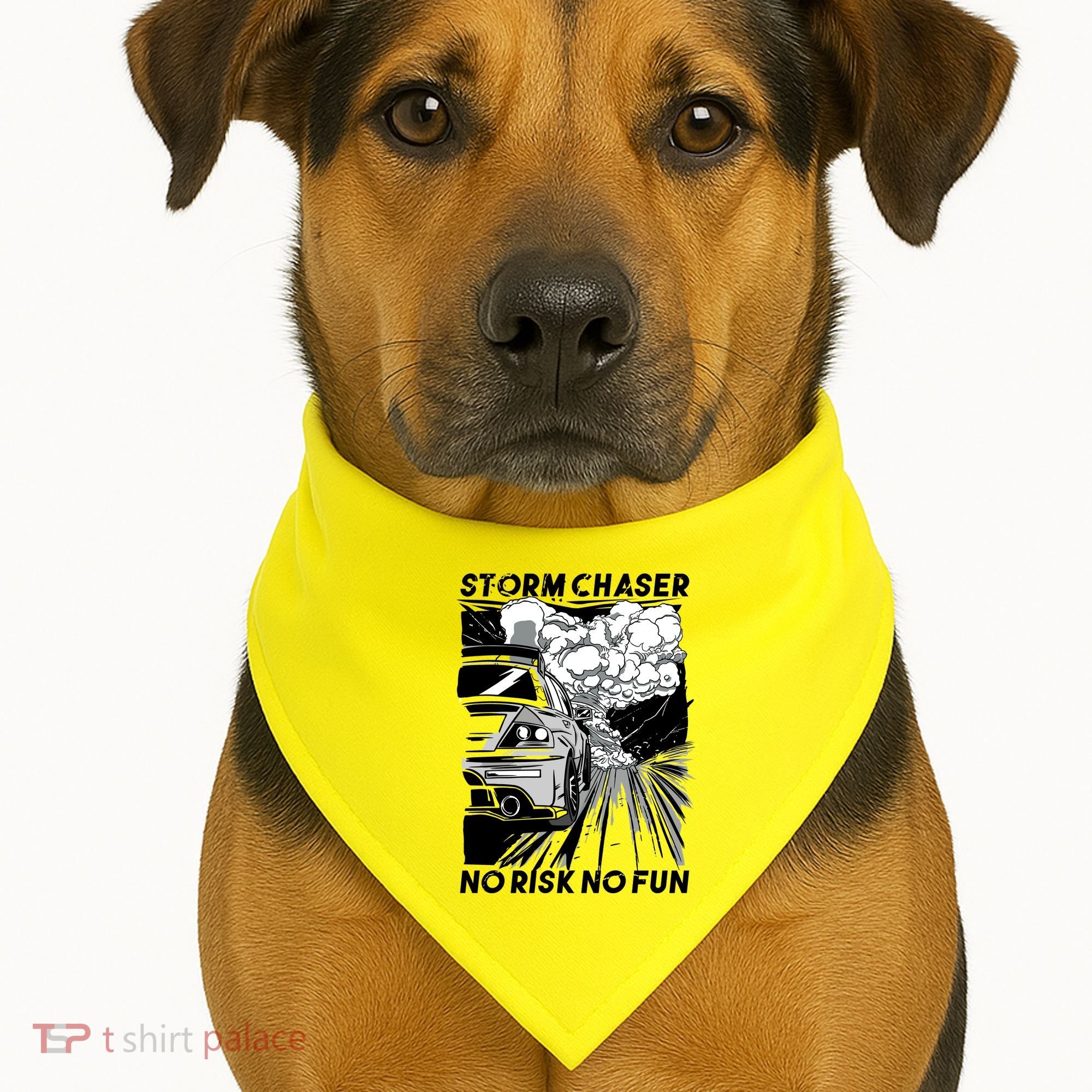 No Risk No Fun Car Racing USA-Made Doggie Bandana