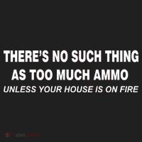 No Such Thing As Too Much Ammo House On Fire Tumbler thumb 3