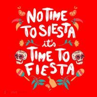 No Time To Siesta It's Time To Fiesta Women's T-Shirt thumb 6