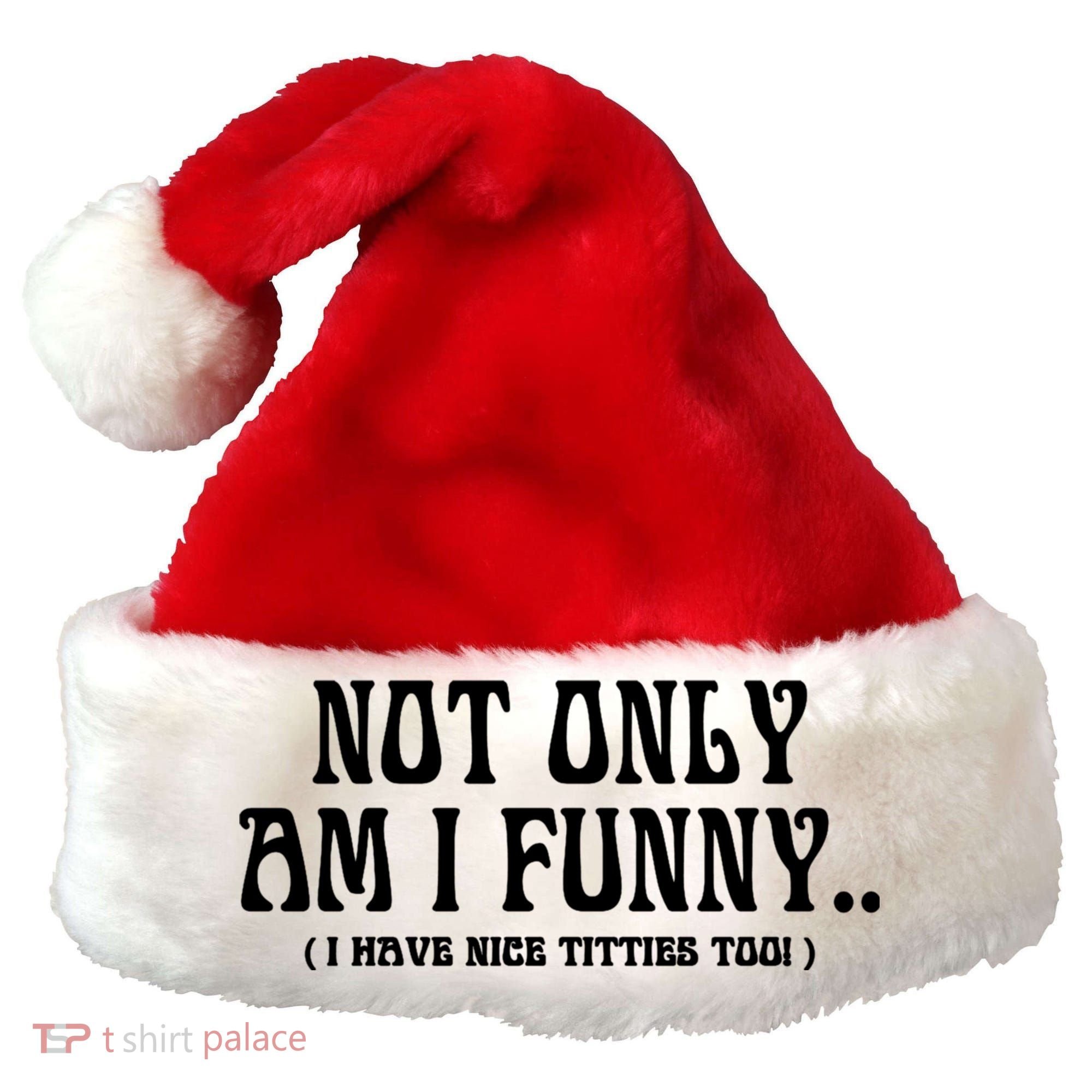 Not Only Am I Funny I Have Nice Titties Too Santa Hat