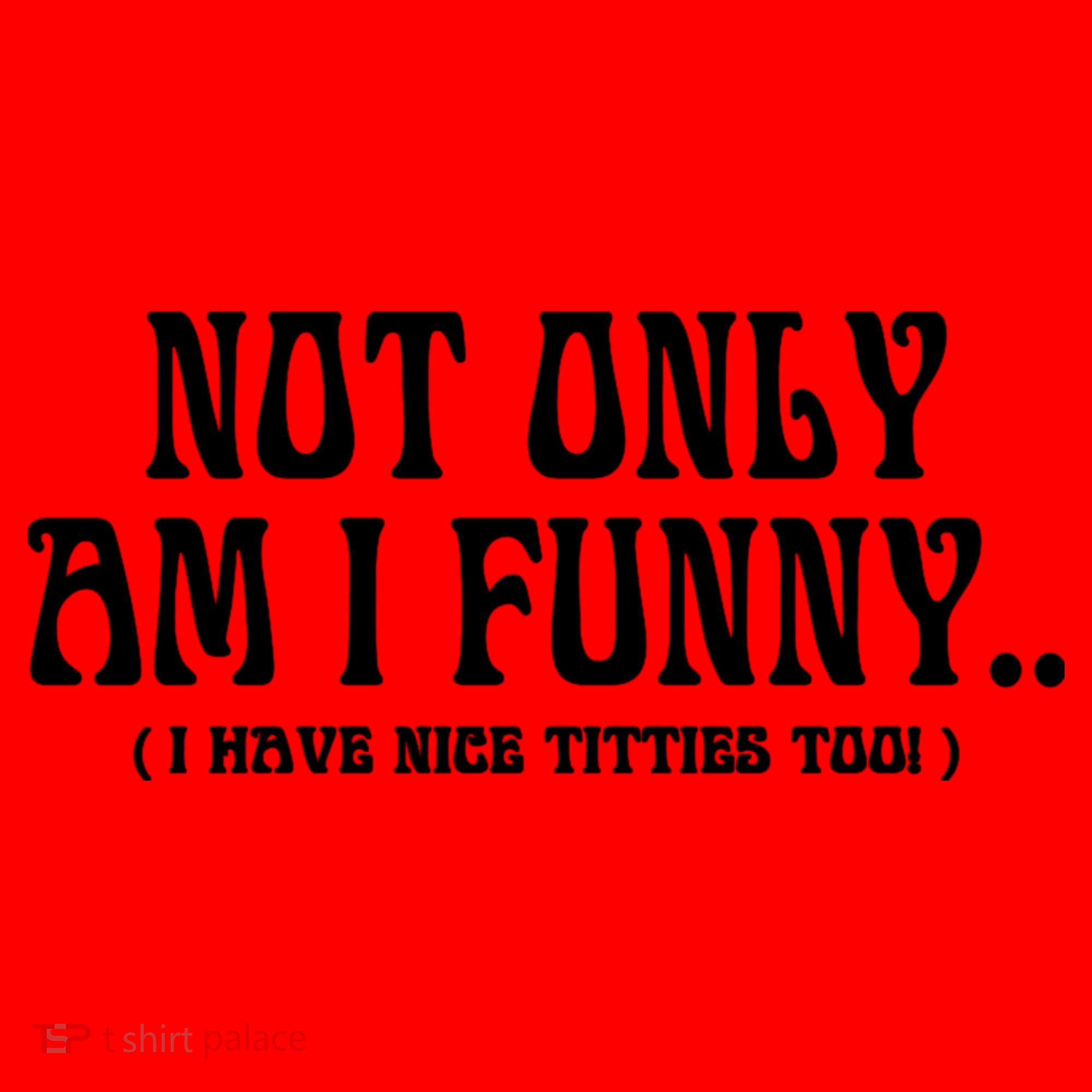 Not Only Am I Funny I Have Nice Titties Too Santa Hat