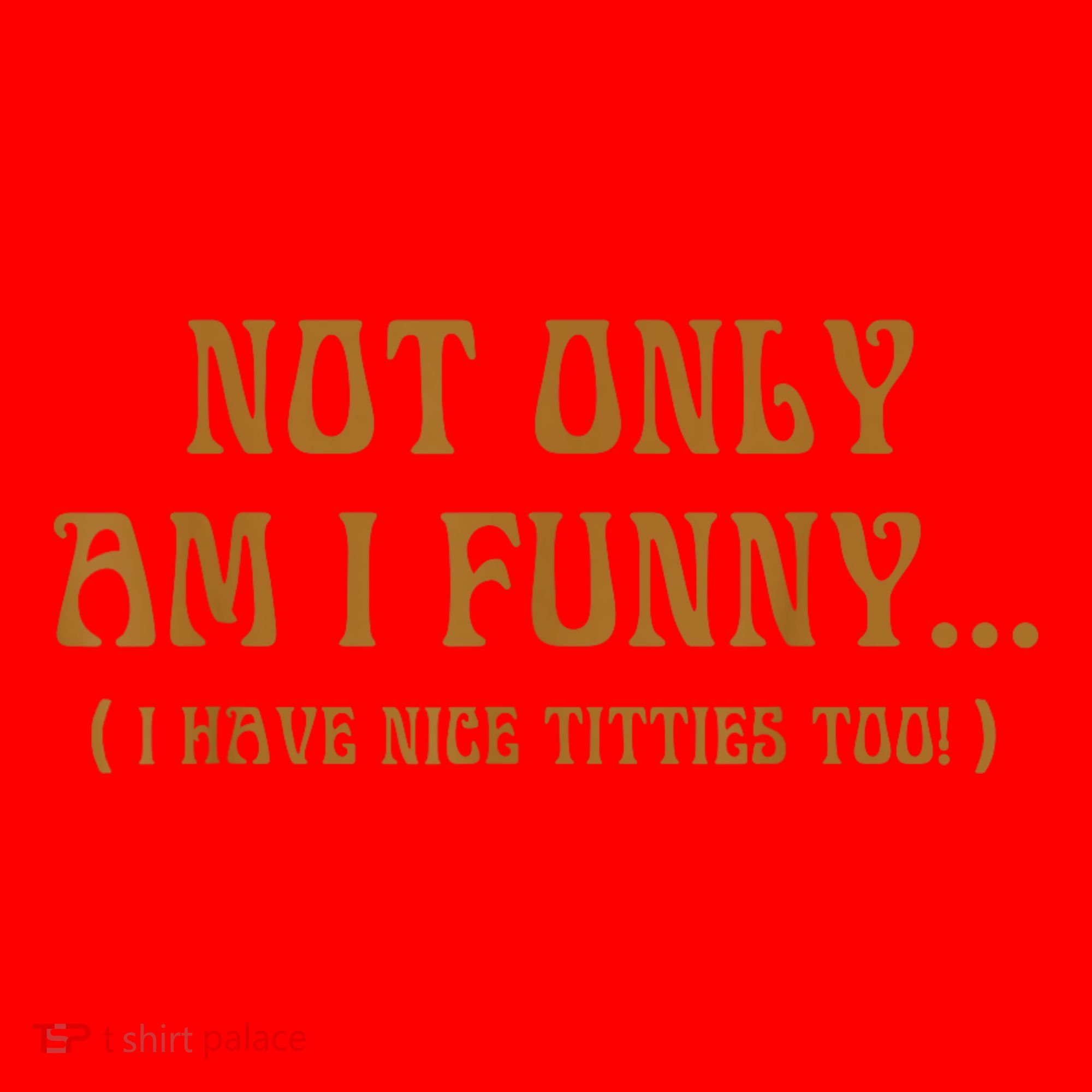 Not Only Am I Funny I Have Nice Titties Too Santa Hat