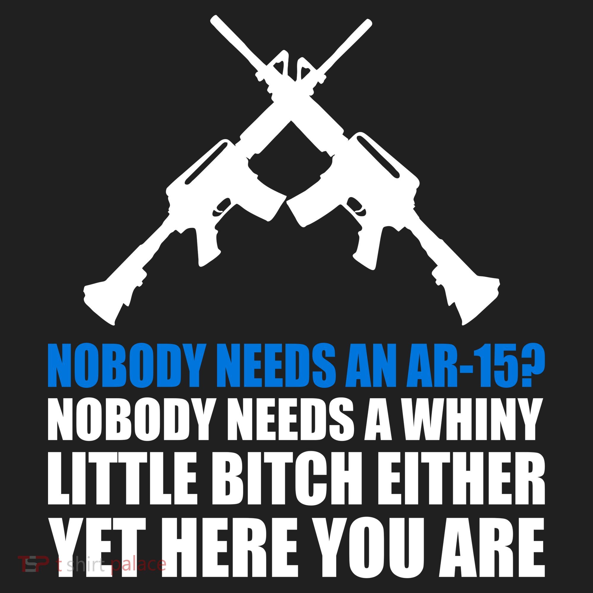 Nobody Needs An AR-15 Rifle Pro Gun Rights Women's Sweatshirt