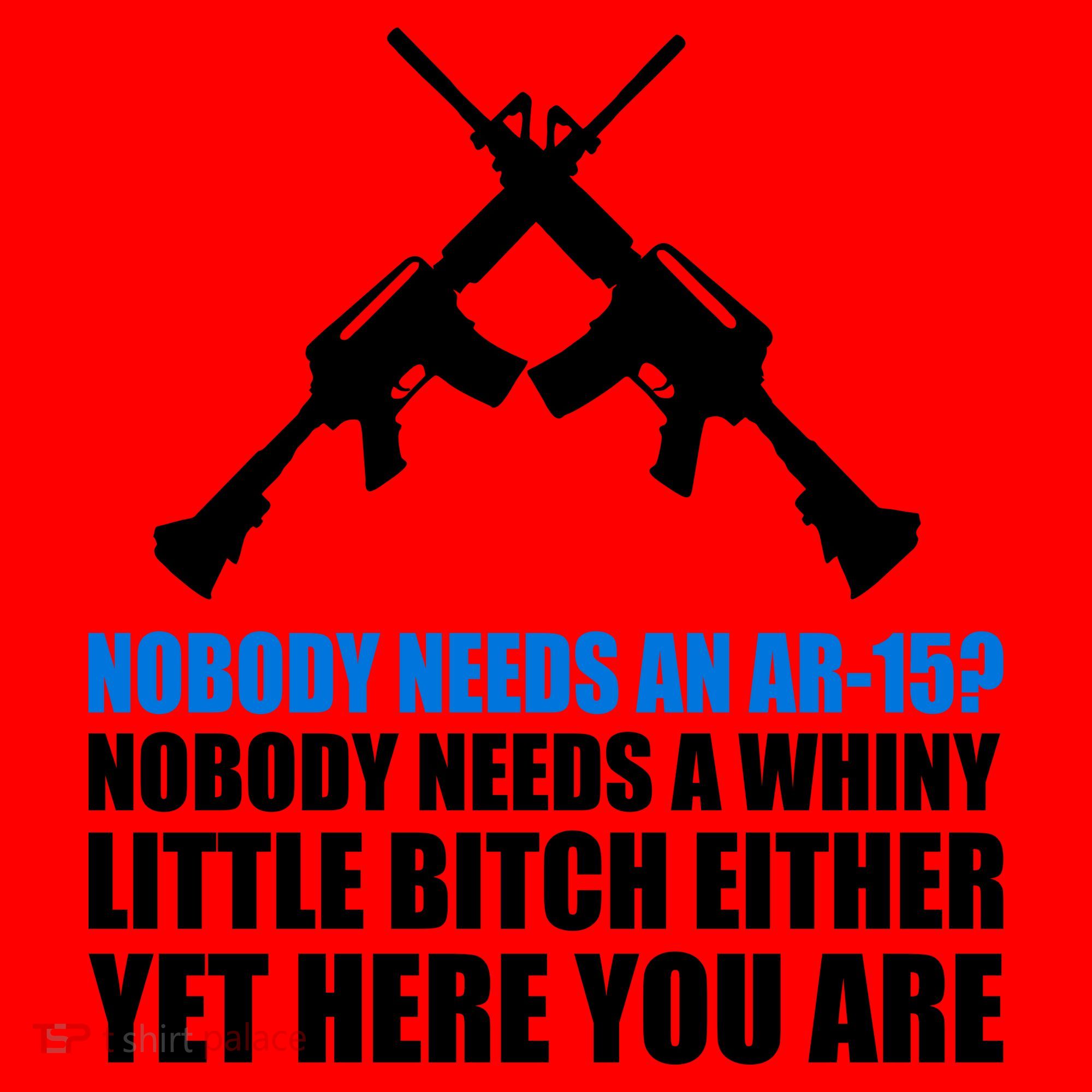 Nobody Needs An AR-15 Rifle Pro Gun Rights Santa Hat