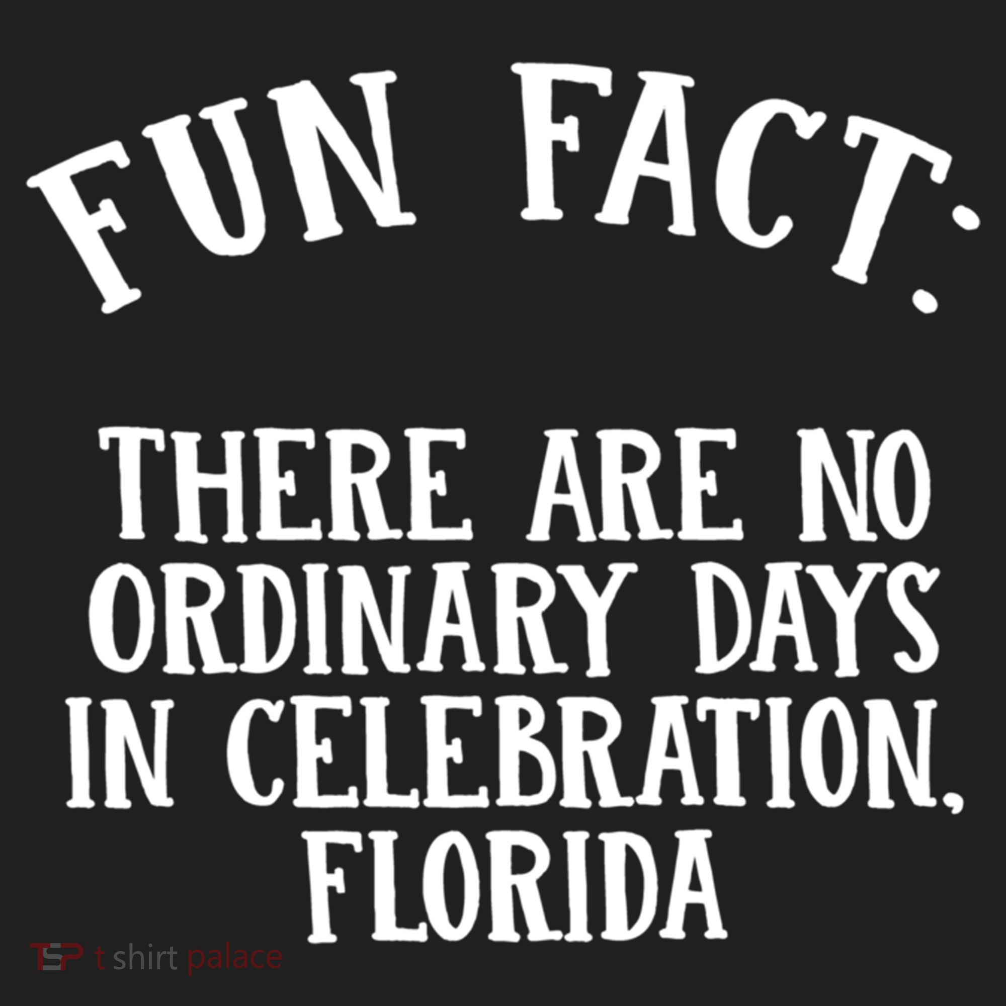 No Ordinary Days In Celebration Florida Pun Fl Joke Cute Gift Beanie