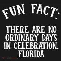 No Ordinary Days In Celebration Florida Pun Fl Joke Cute Gift Women's Hoodie thumb 2