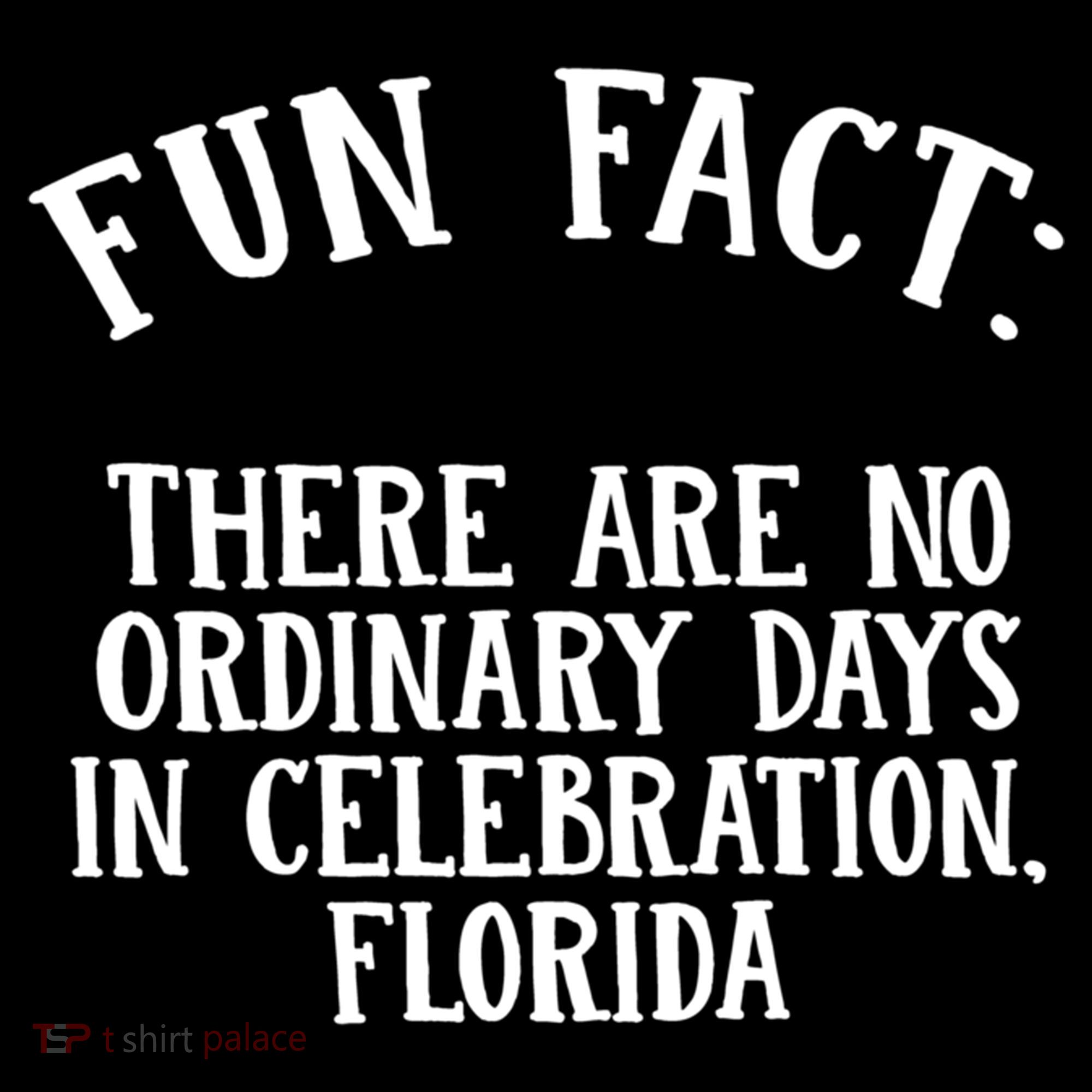 No Ordinary Days In Celebration Florida Pun Fl Joke Cute Gift Women's Hoodie