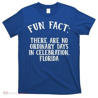 No Ordinary Days In Celebration Florida Pun Fl Joke Cute Gift T-Shirt