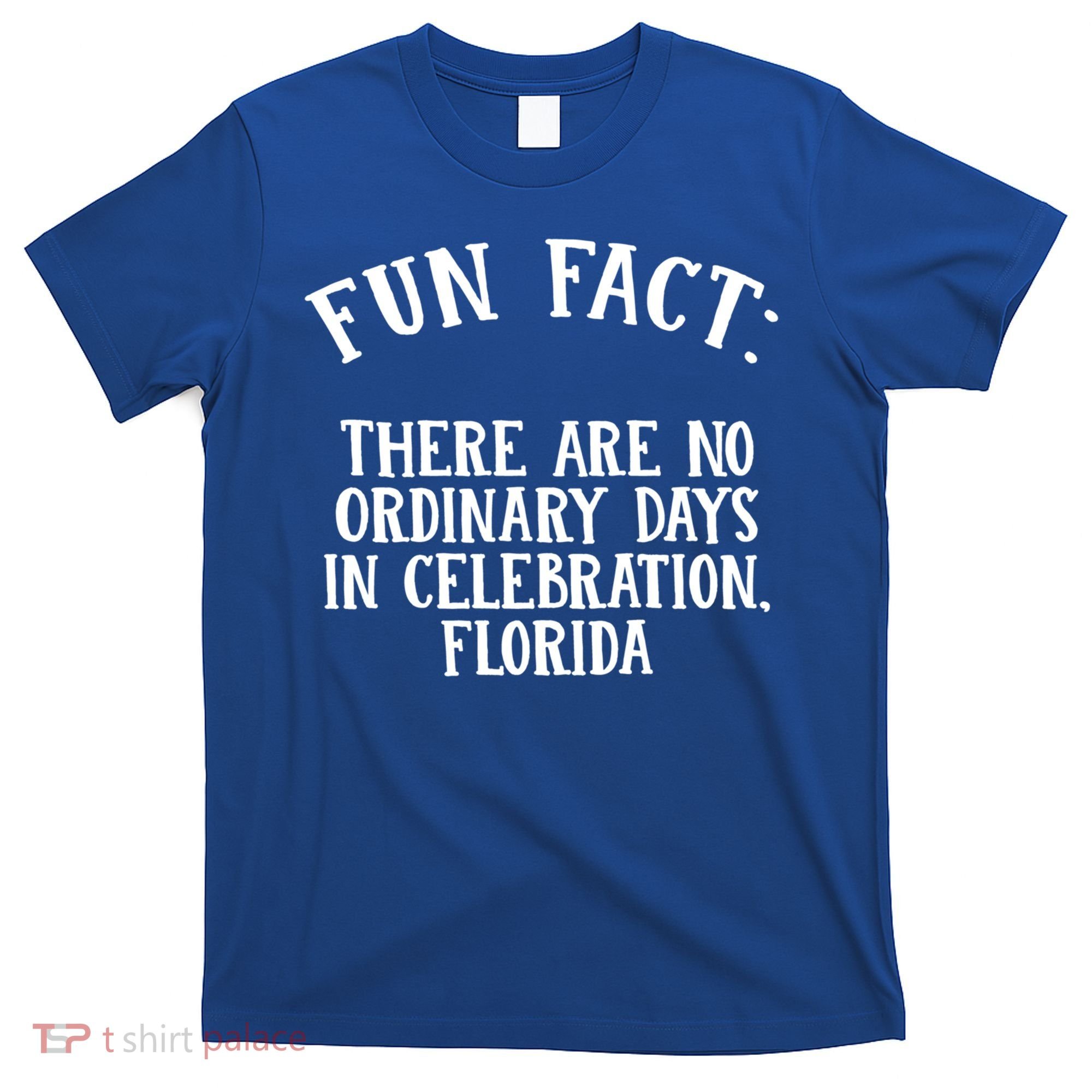No Ordinary Days In Celebration Florida Pun Fl Joke Cute Gift T-Shirt