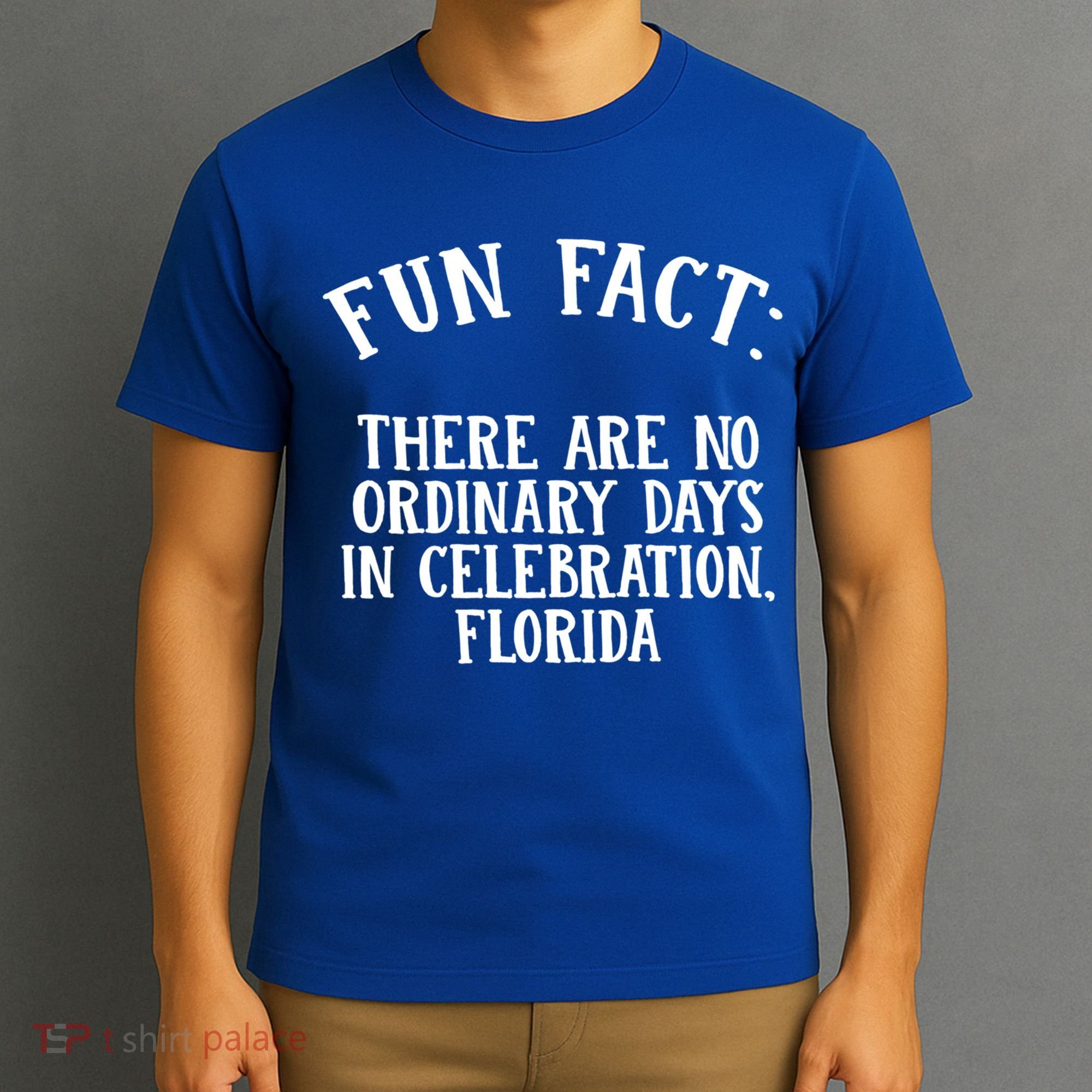 No Ordinary Days In Celebration Florida Pun Fl Joke Cute Gift T-Shirt