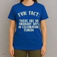 No Ordinary Days In Celebration Florida Pun Fl Joke Cute Gift T-Shirt thumb 4