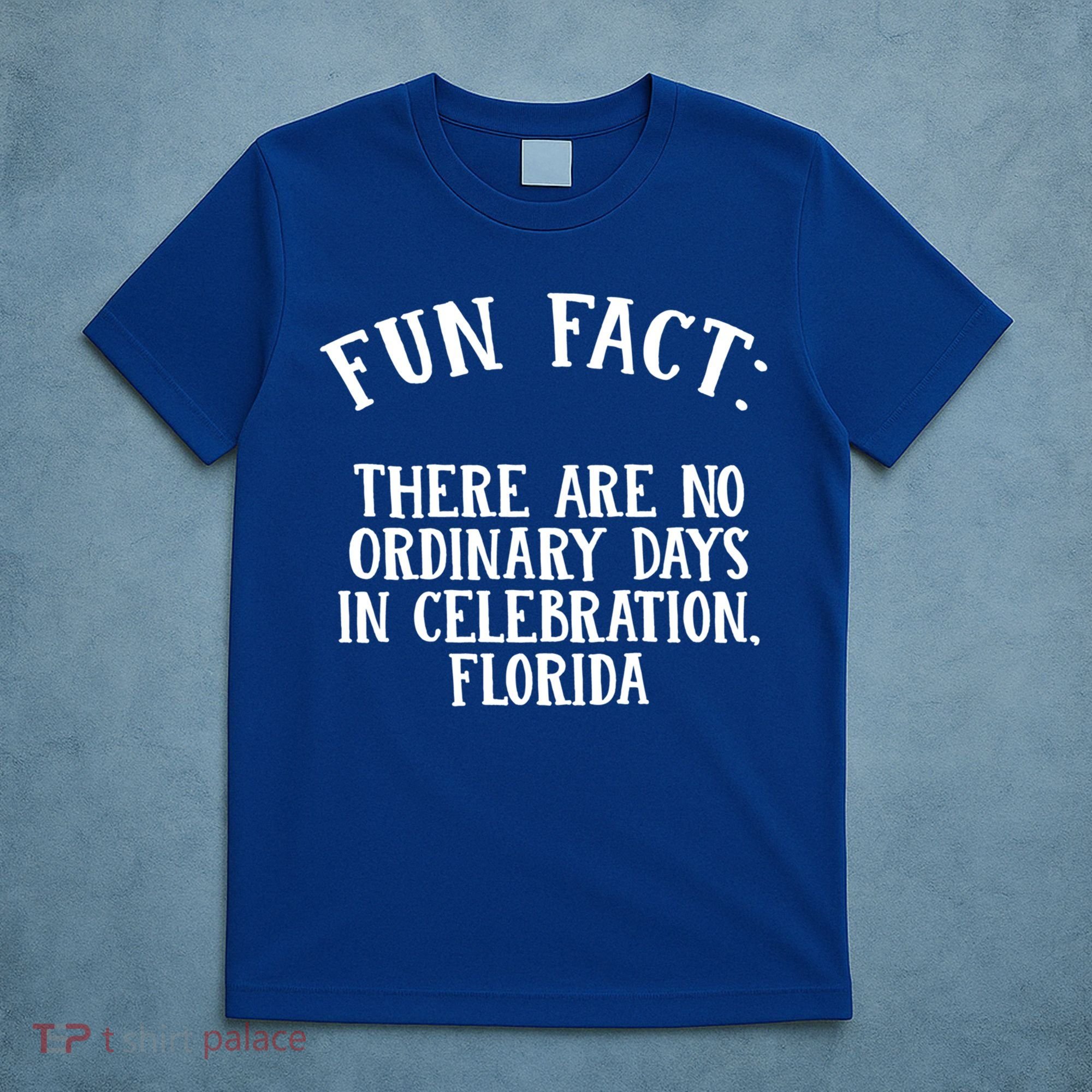 No Ordinary Days In Celebration Florida Pun Fl Joke Cute Gift T-Shirt