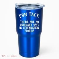 No Ordinary Days In Celebration Florida Pun Fl Joke Cute Gift Tumbler thumb 0