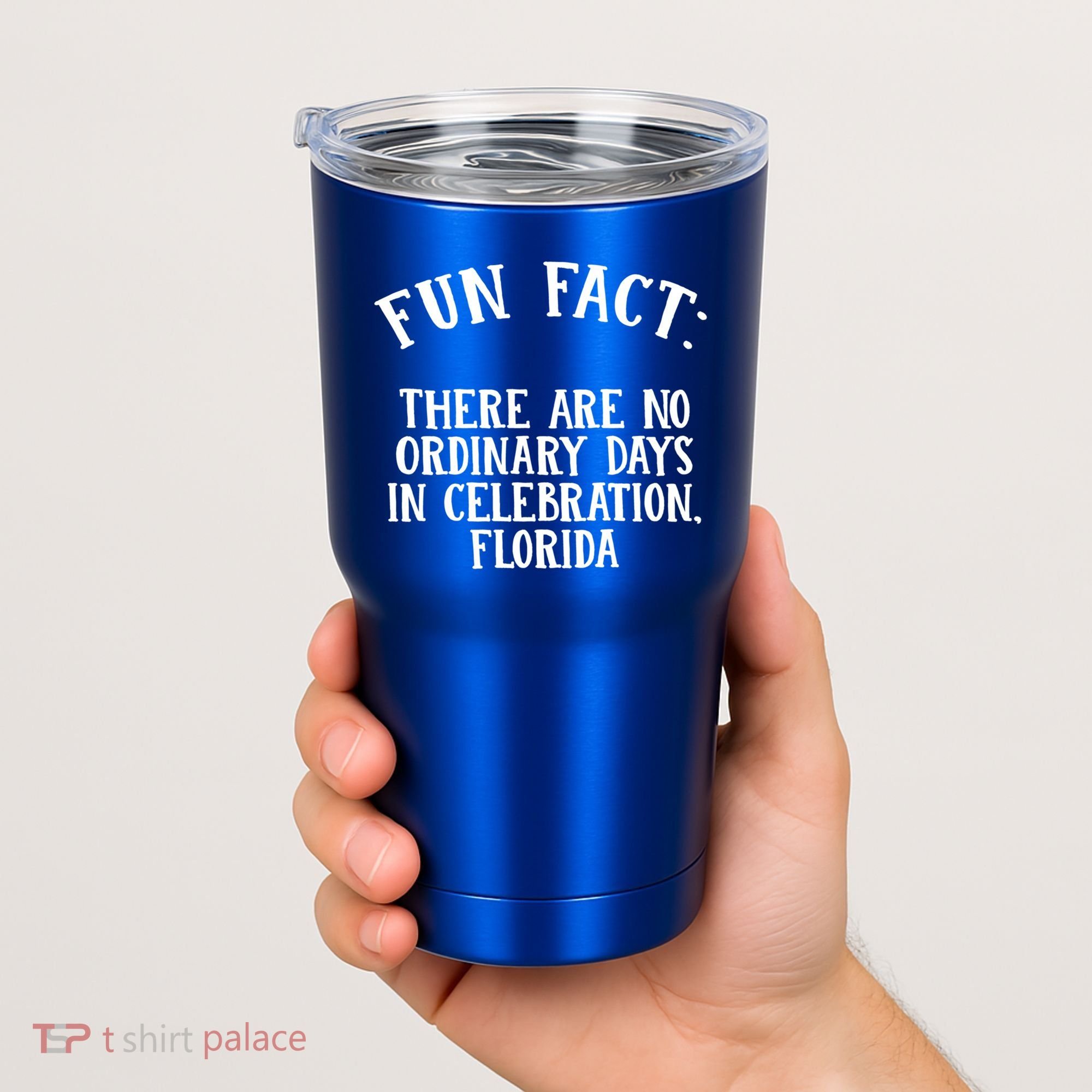 No Ordinary Days In Celebration Florida Pun Fl Joke Cute Gift Tumbler