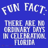 No Ordinary Days In Celebration Florida Pun Fl Joke Cute Gift Baby Bodysuit thumb 2